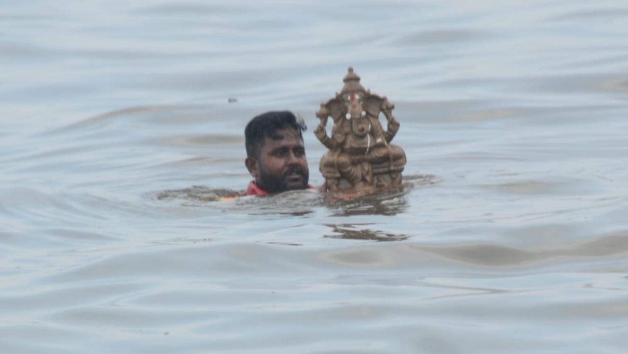 24,196 household idols and 172 community Ganesh idols were immersed in artificial ponds, said a BMC official